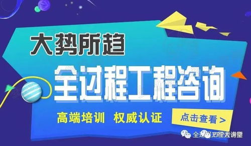 推行全过程工程咨询面临的问题与对策——以投资咨询服务为视角